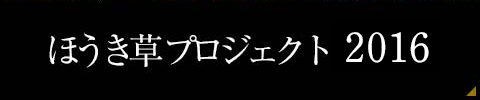 ほうき草プロジェクト2016