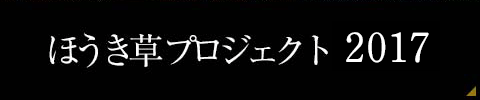 ほうき草プロジェクト2017