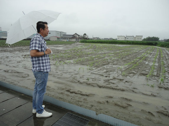 浜北畑③　2016年6月28日　雨が心配です。